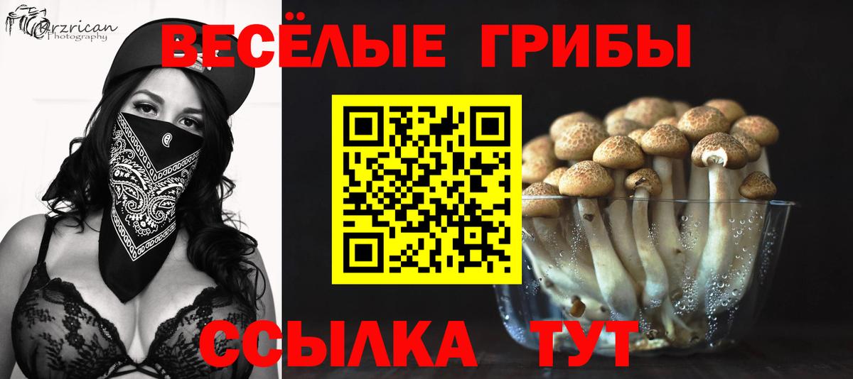 Галлюциногенные грибы ЛСД  Псилоцибиновые грибы GOLDEN TEACHER  Вход с VPN  Шелехов 